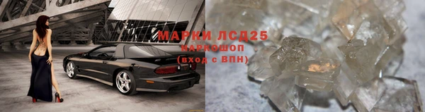 шишки Устюжна