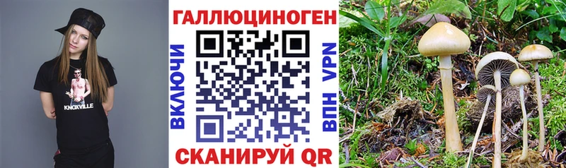 закладка  Инза  Псилоцибиновые грибы Magic Shrooms 